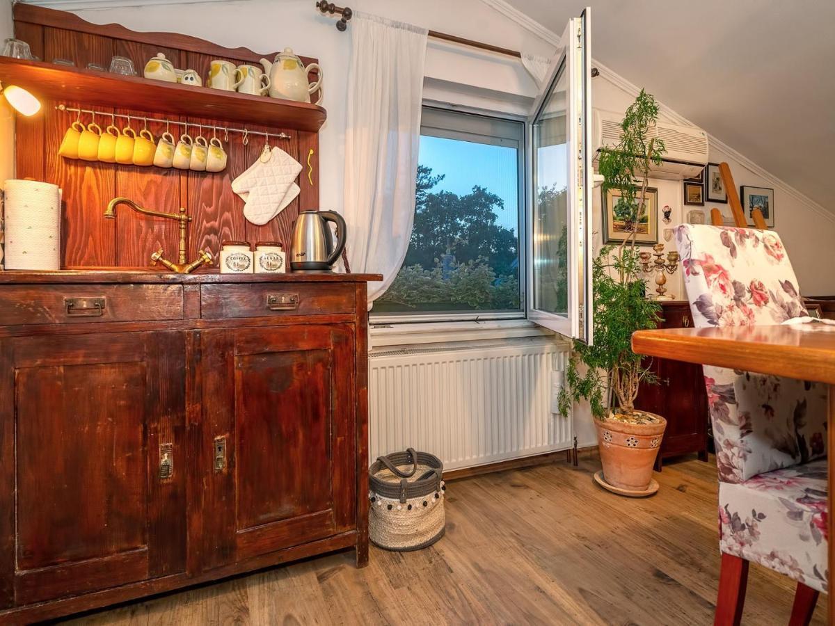 Apartments Villa Roza Drazice Dış mekan fotoğraf