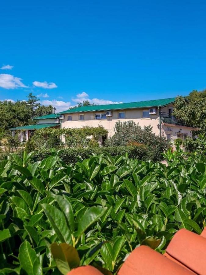 Apartments Villa Roza Drazice Dış mekan fotoğraf